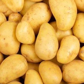 POMME DE TERRE LAVEES