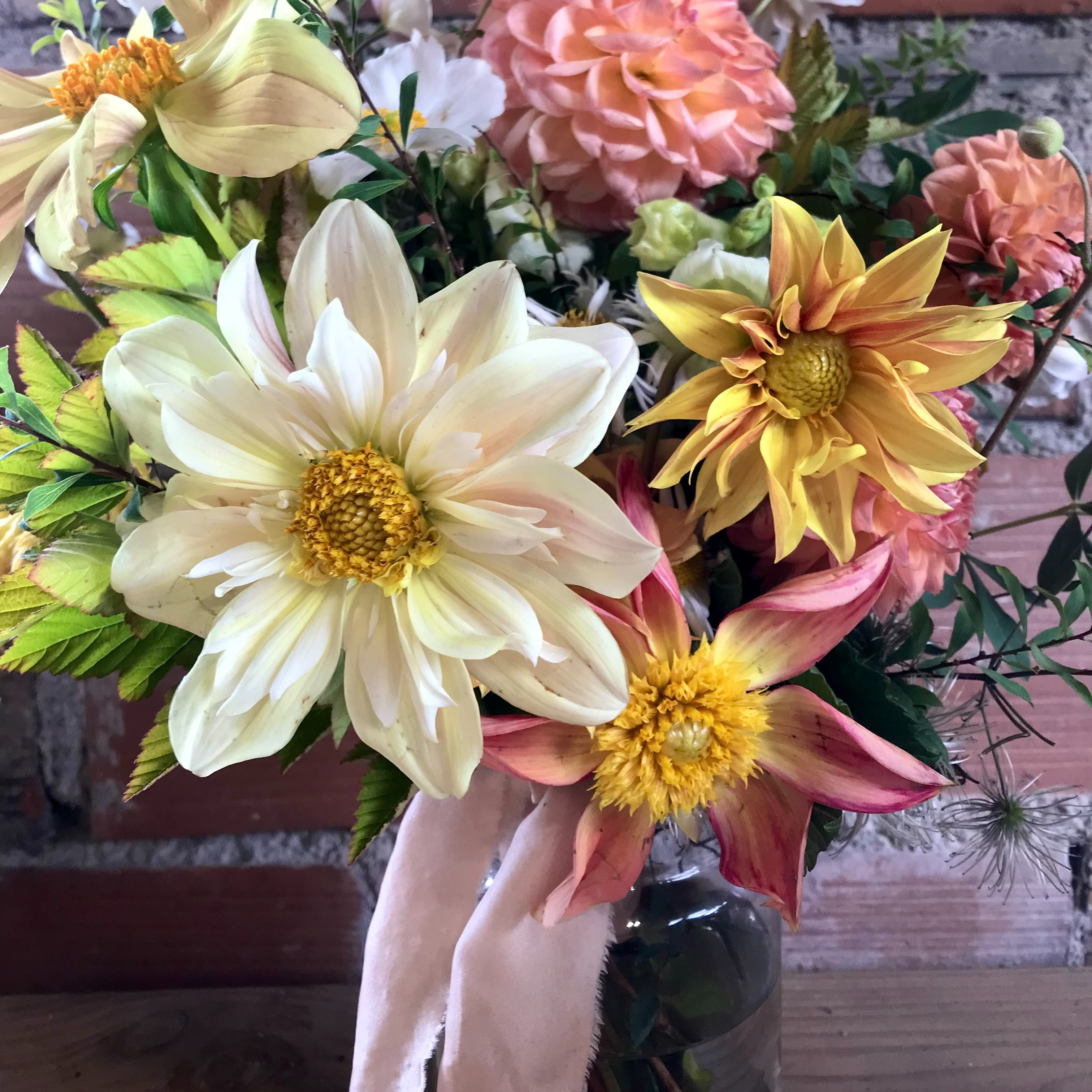 dahlias issus de semis - mix "Bee Friendly"