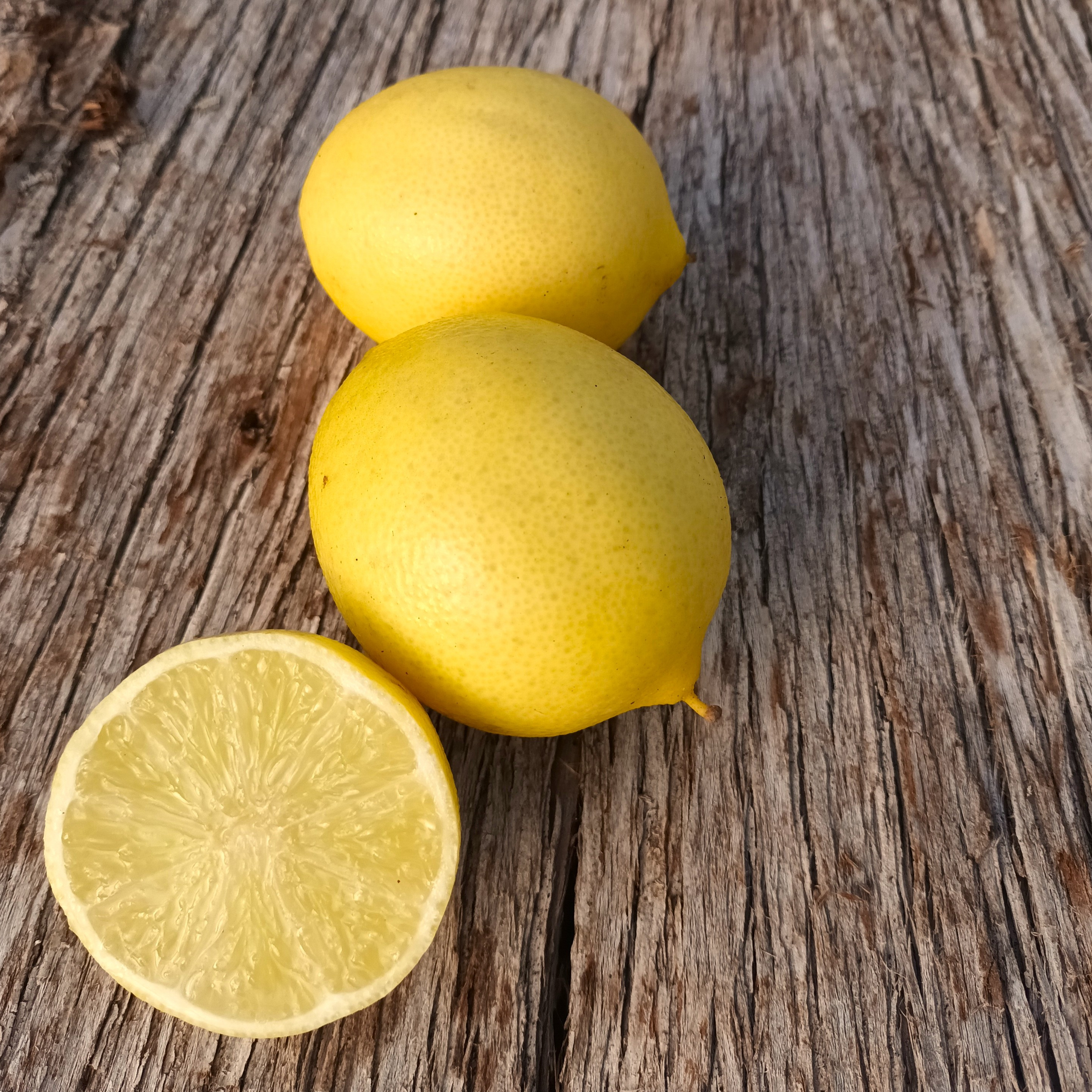 Lime de Tahiti (citron vert) - 3l