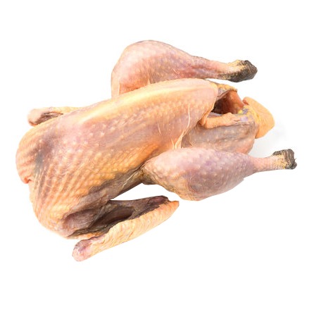 Pintade de la ferme