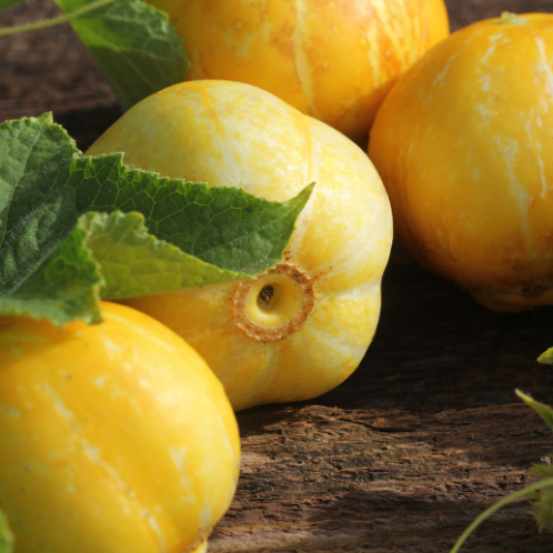 CONCOMBRE Lemon Citron Bio