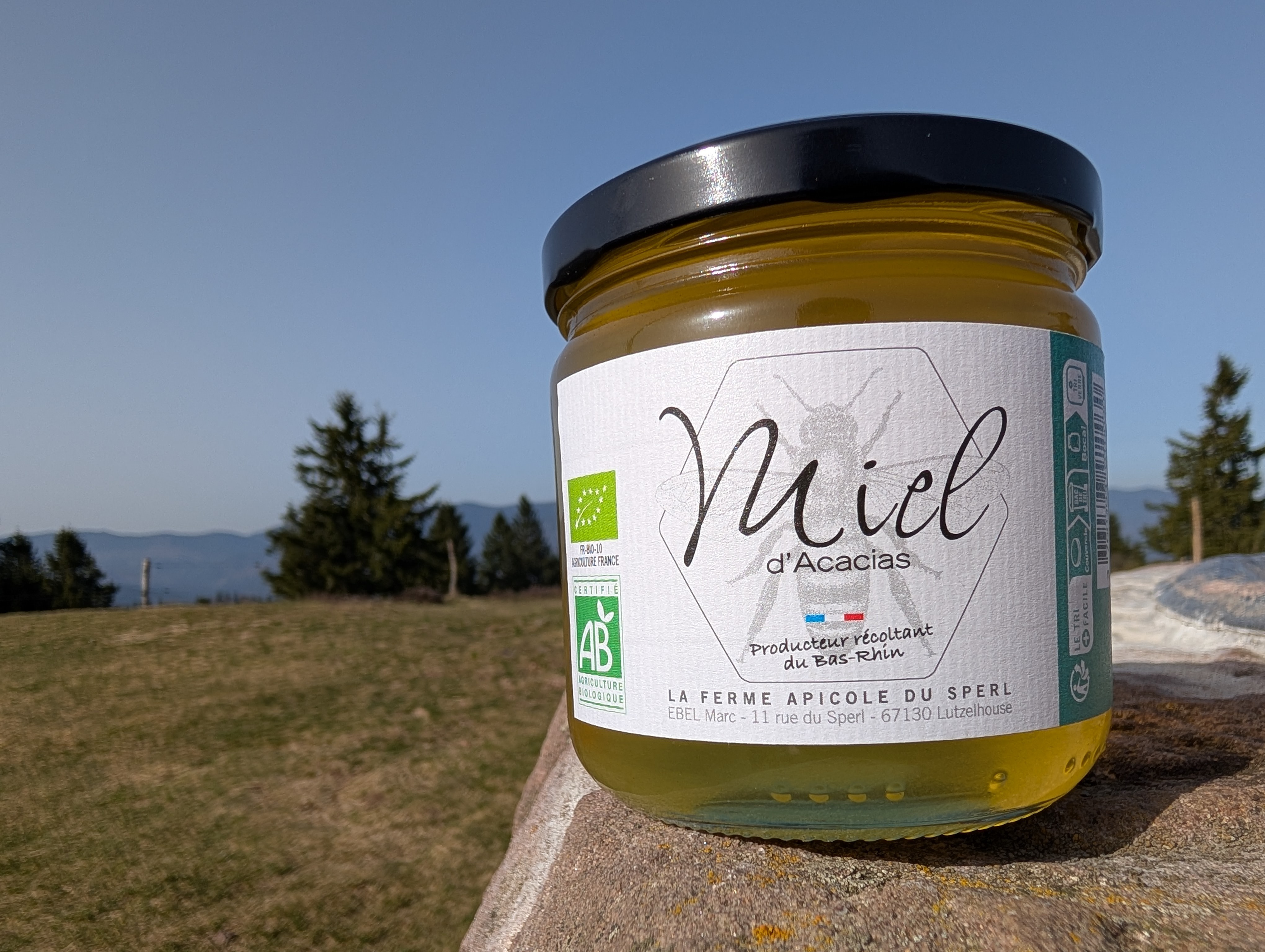 Miel d'Acacia - 500g