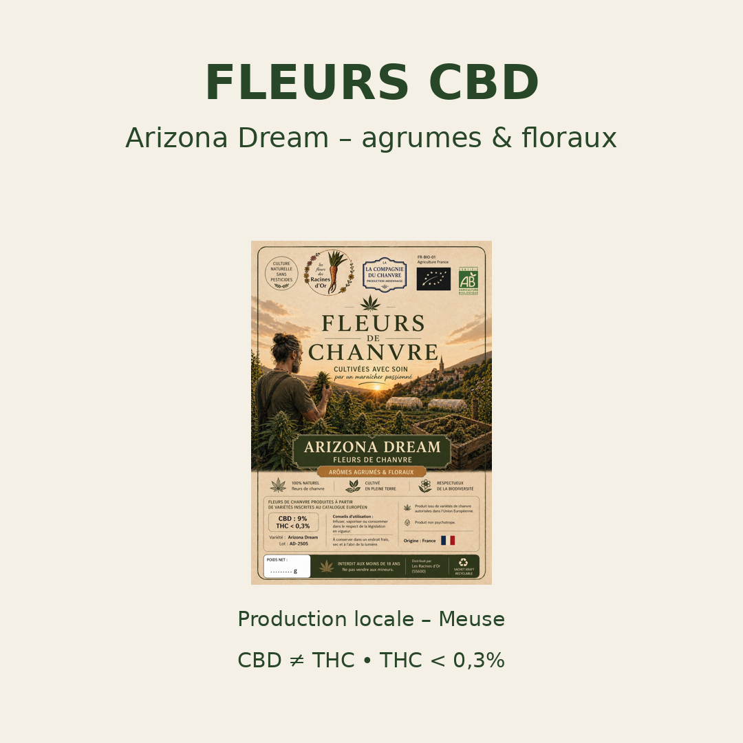 Fleur de chanvre ARIZONA DREAM