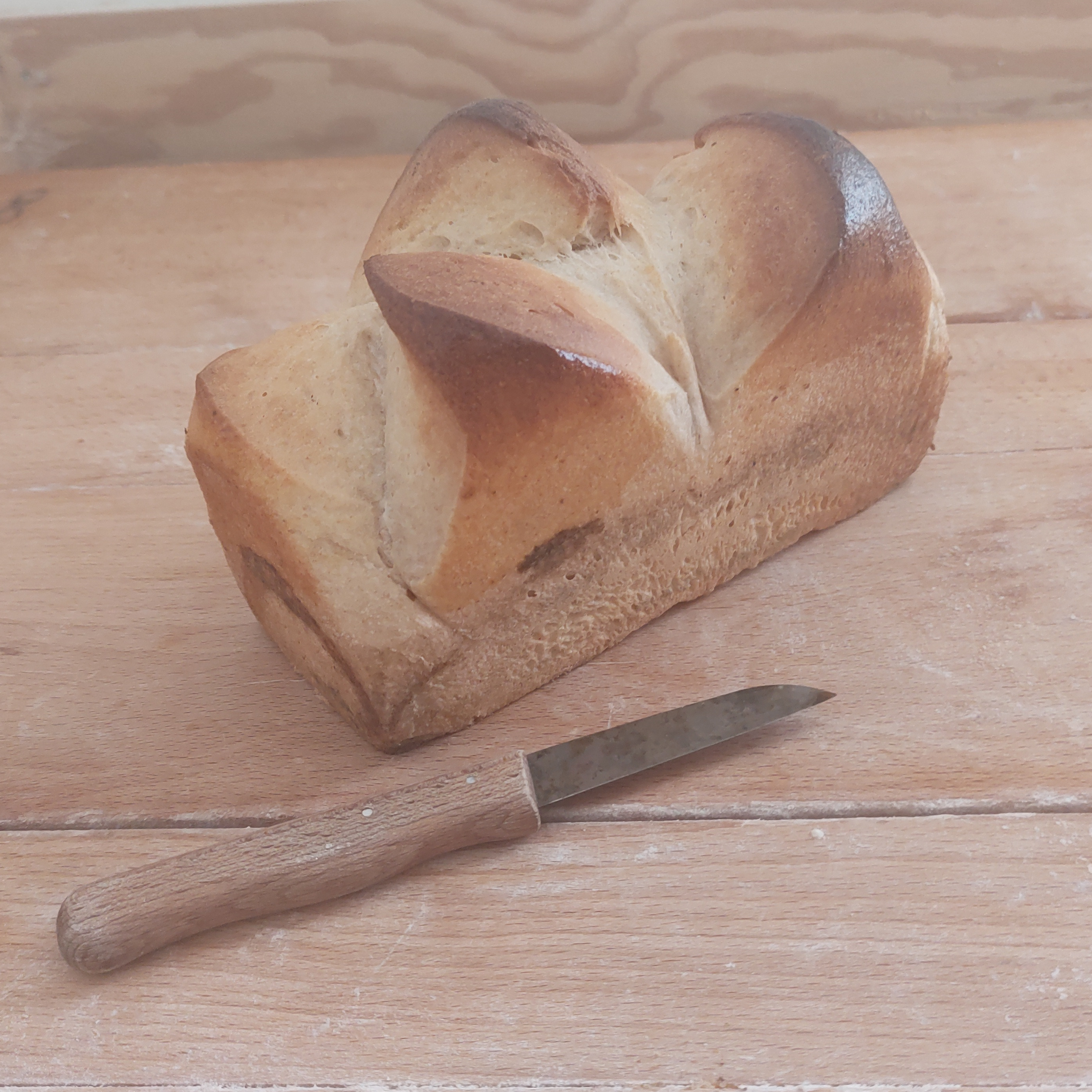 Brioche 450g moulée - 450g