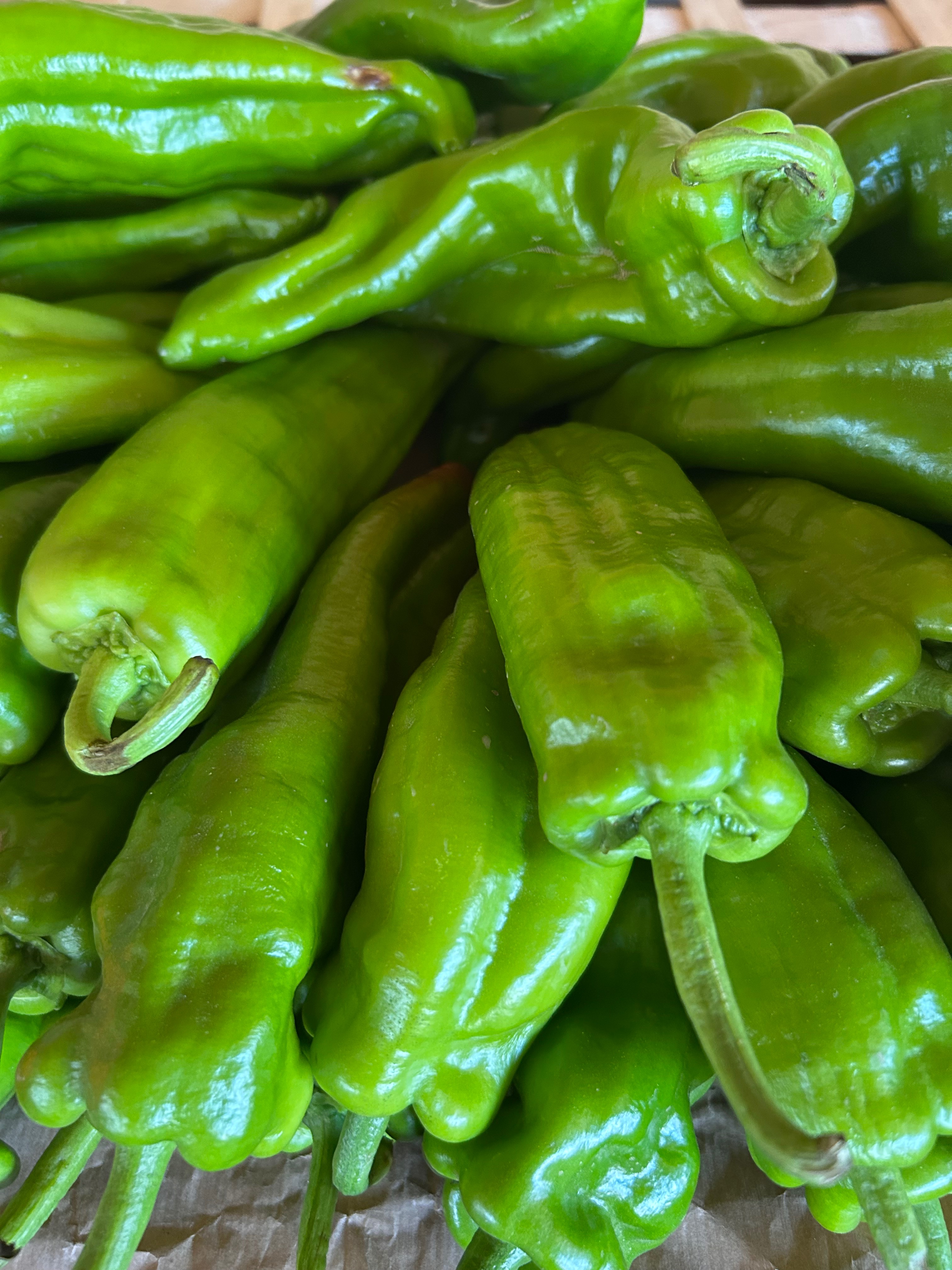 POIVRON TENDRE LIPARI VERT