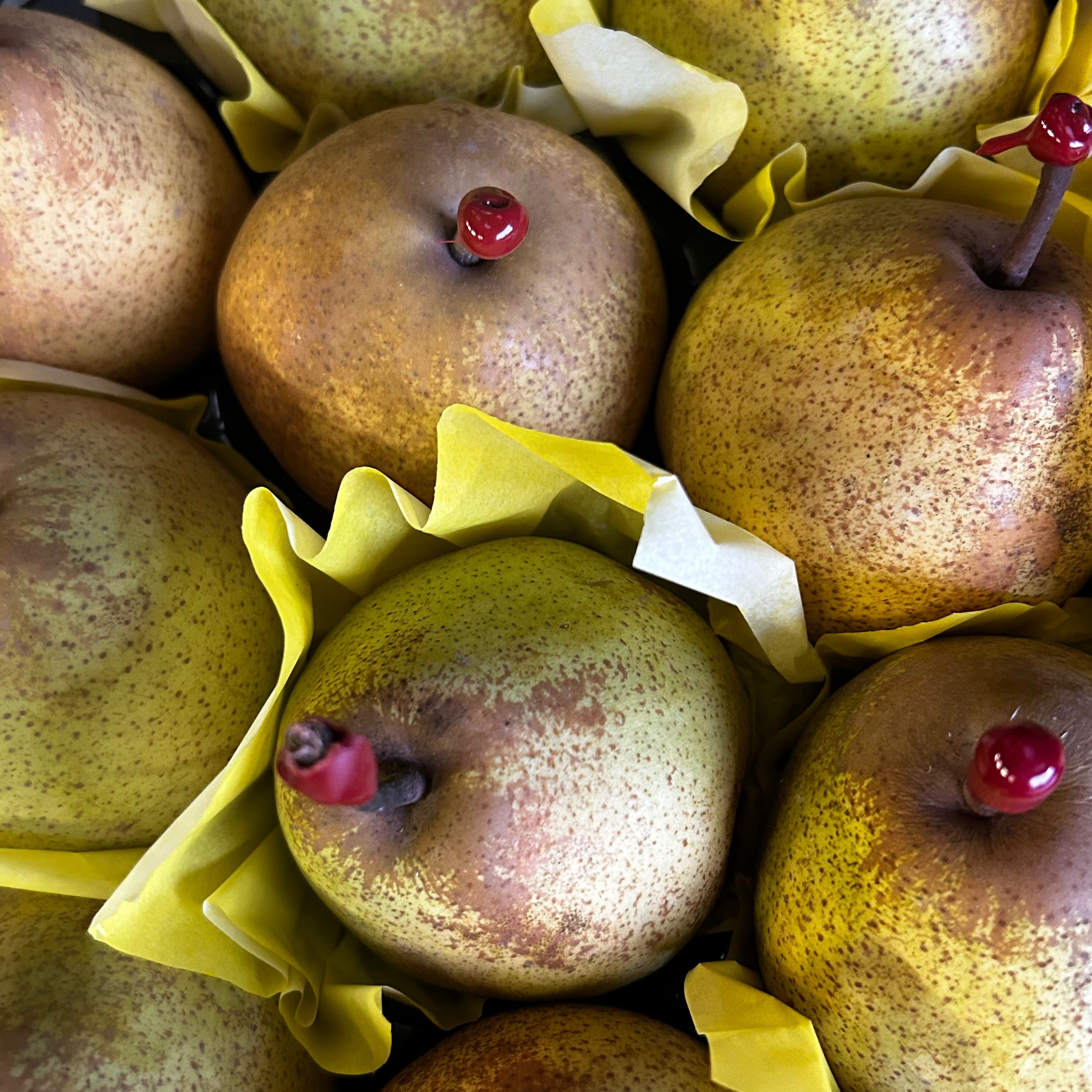 POIRE PASSE-CRASSANE