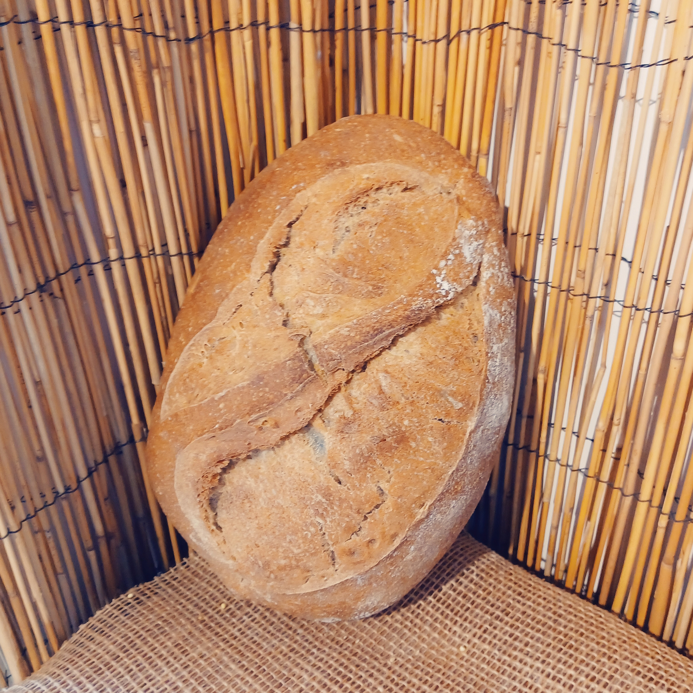 Pain Froment T80 non moulé - 500g