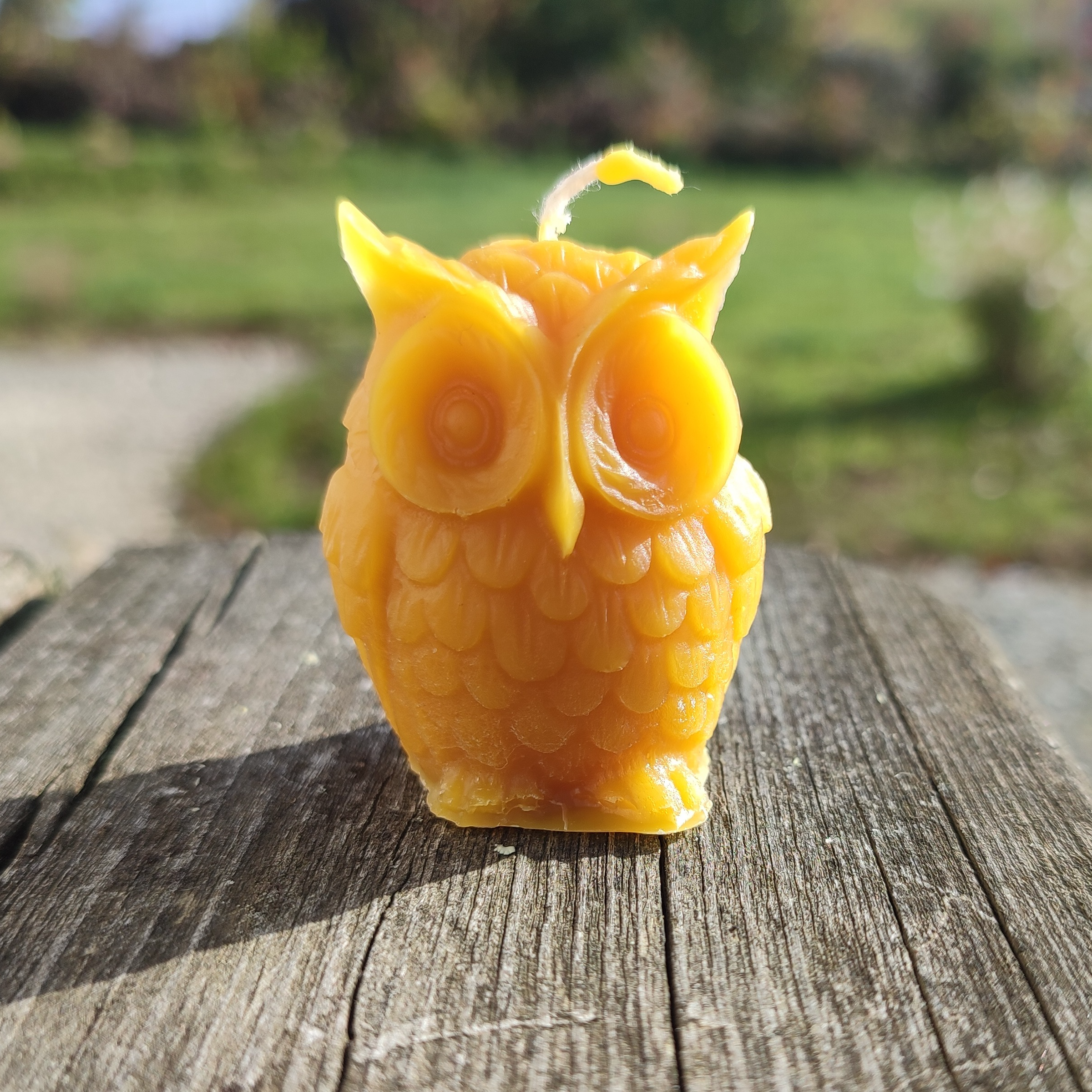 Hibou