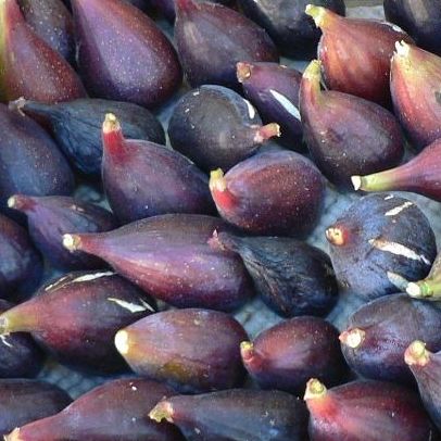 Figue Noire de Caromb - 200g