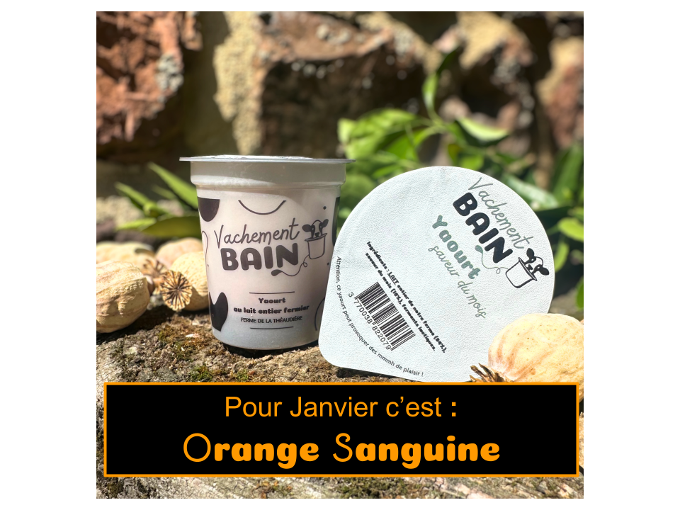 Yaourt à la saveur du mois - 125g