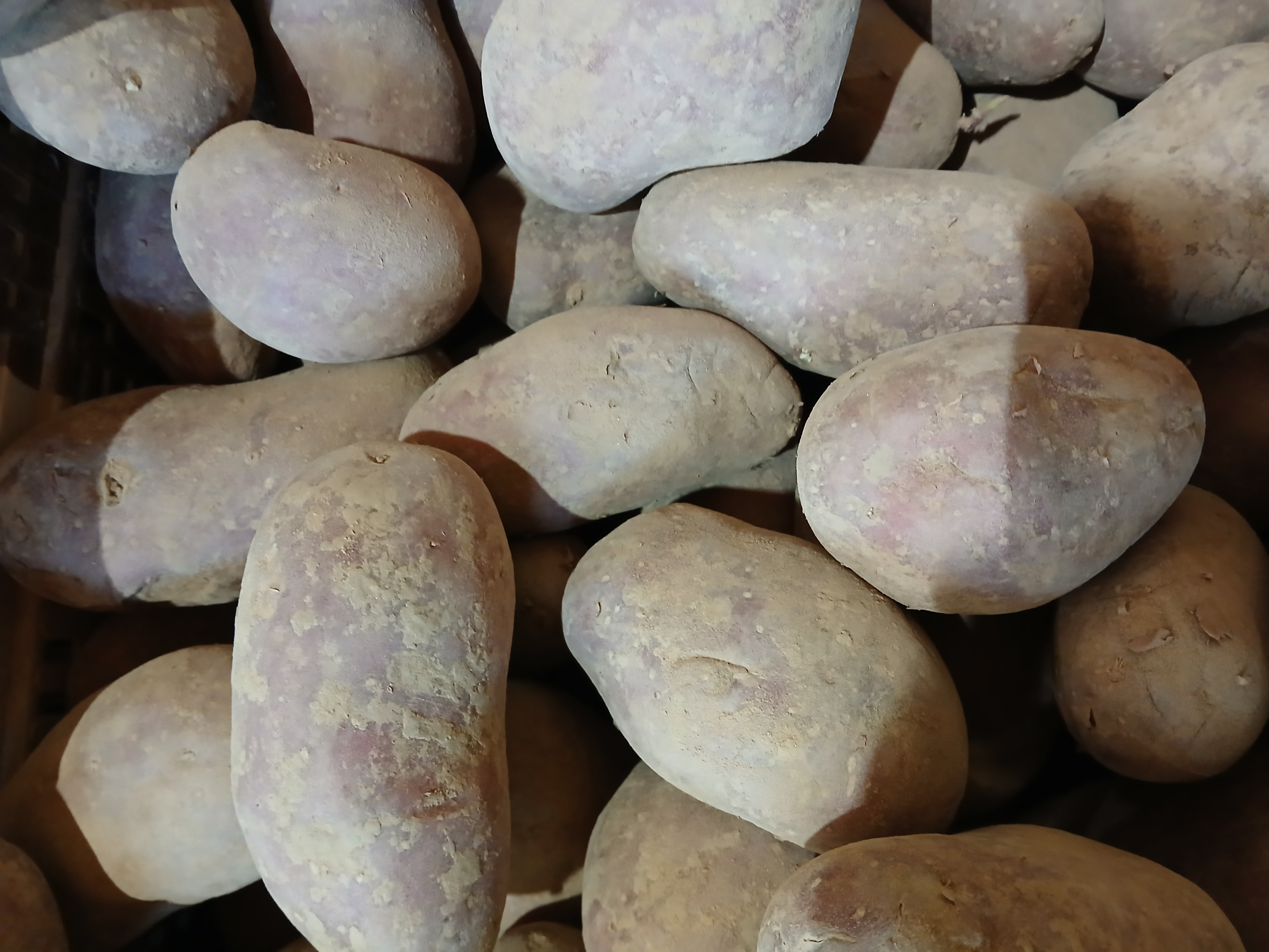 Pomme De Terre Vrac - rouge dallida