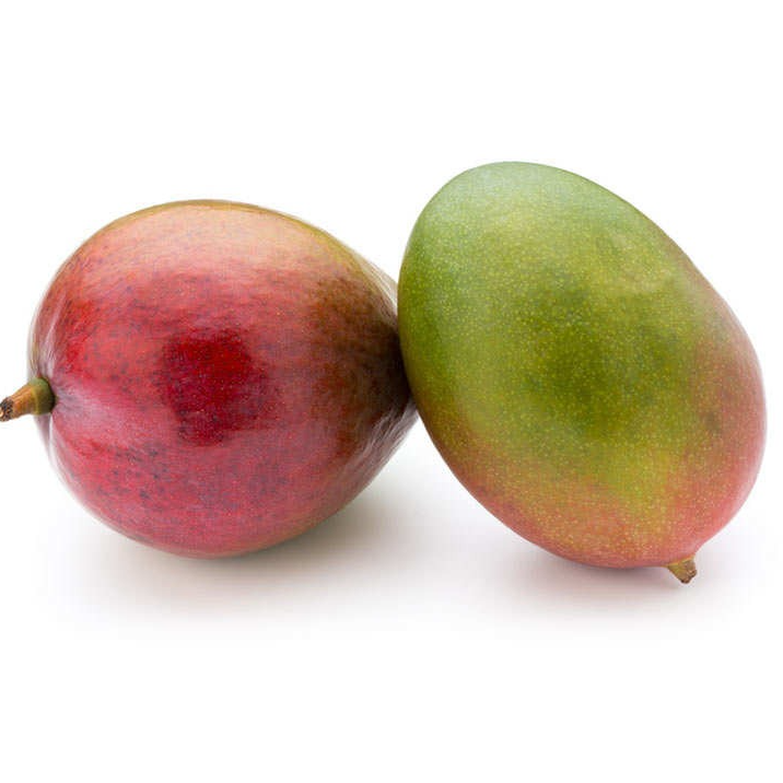 Mangue