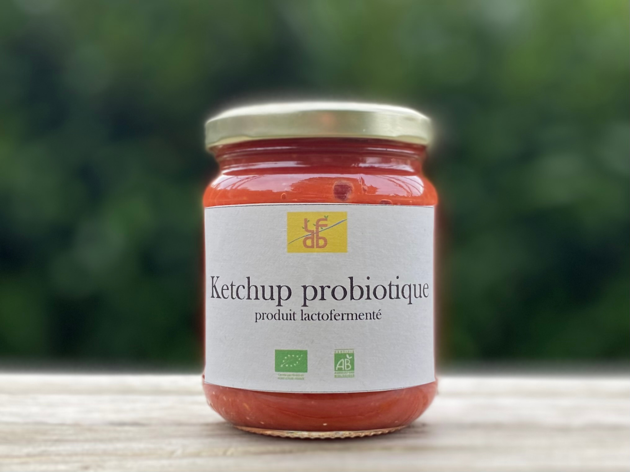 Ketchup probiotique - 200g