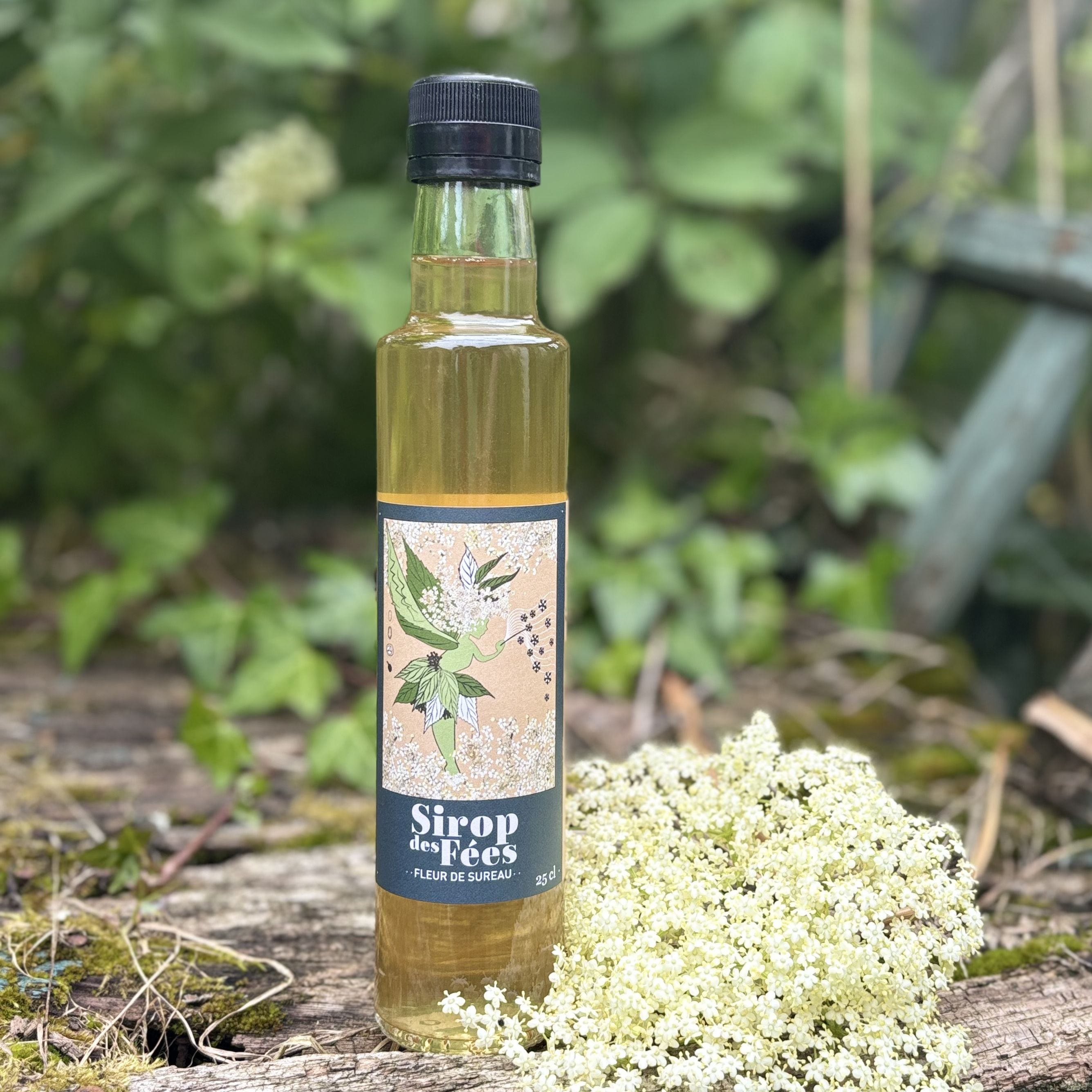 Sirop des fées à la fleur de sureau