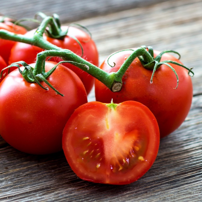 Plant de Tomate "Saint-Pierre"