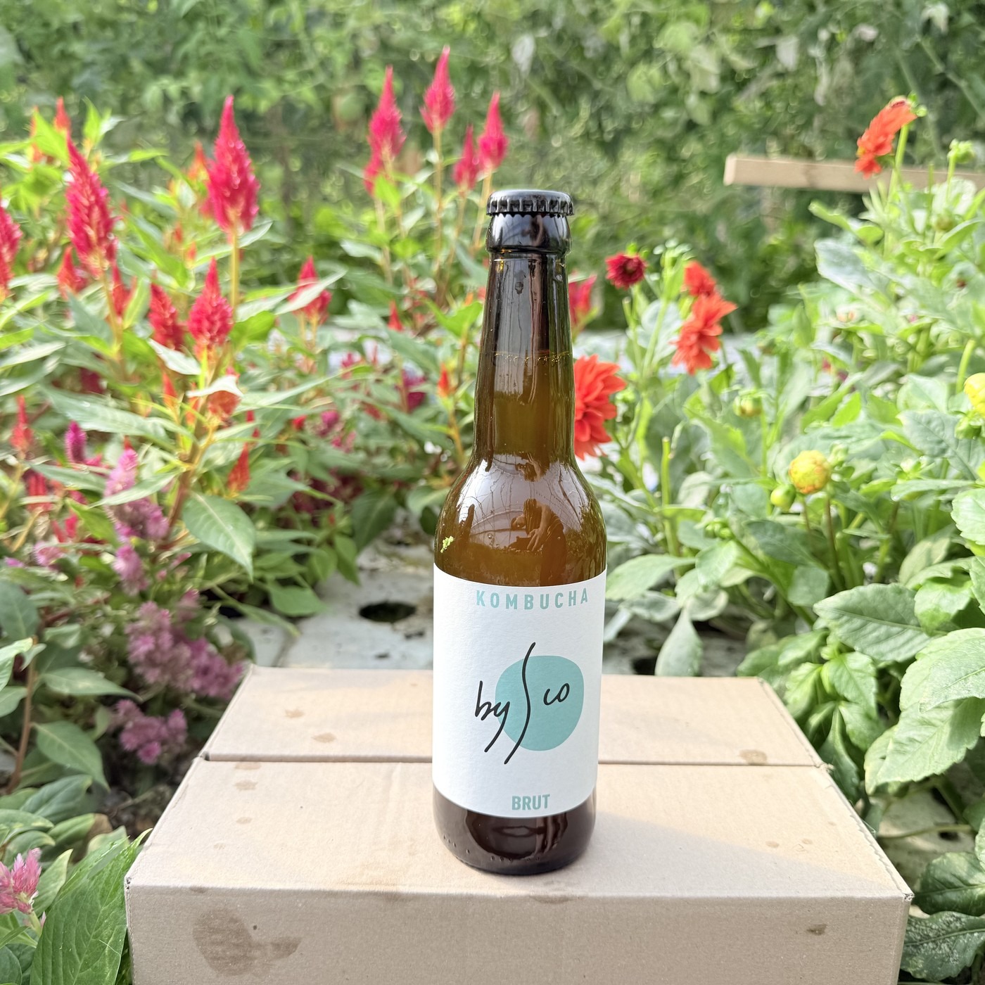 Kombucha Brut Bio Bysco - 33cl