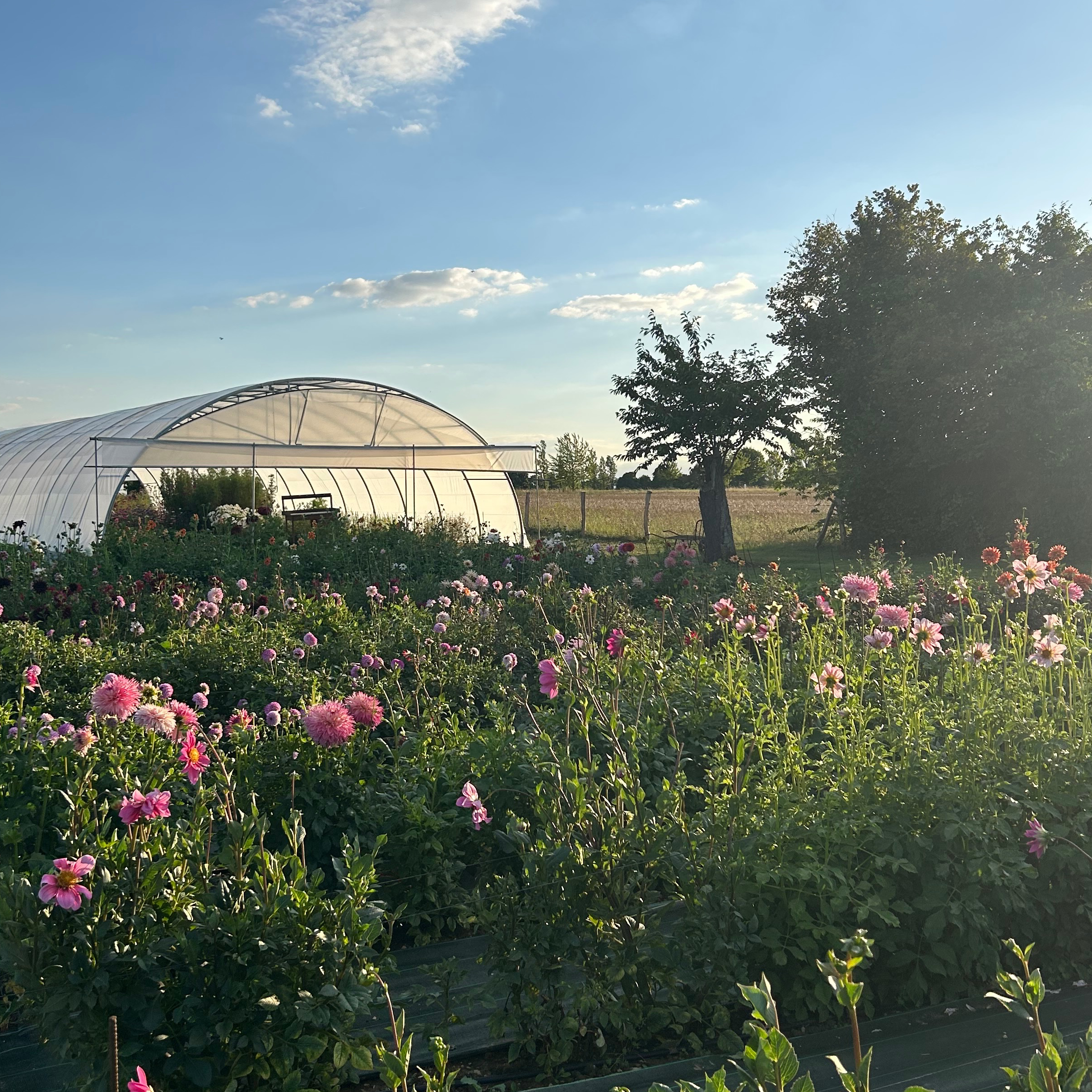 Une journée à la ferme