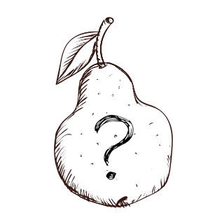 Bergamote de Parthenay - Très vigoureux