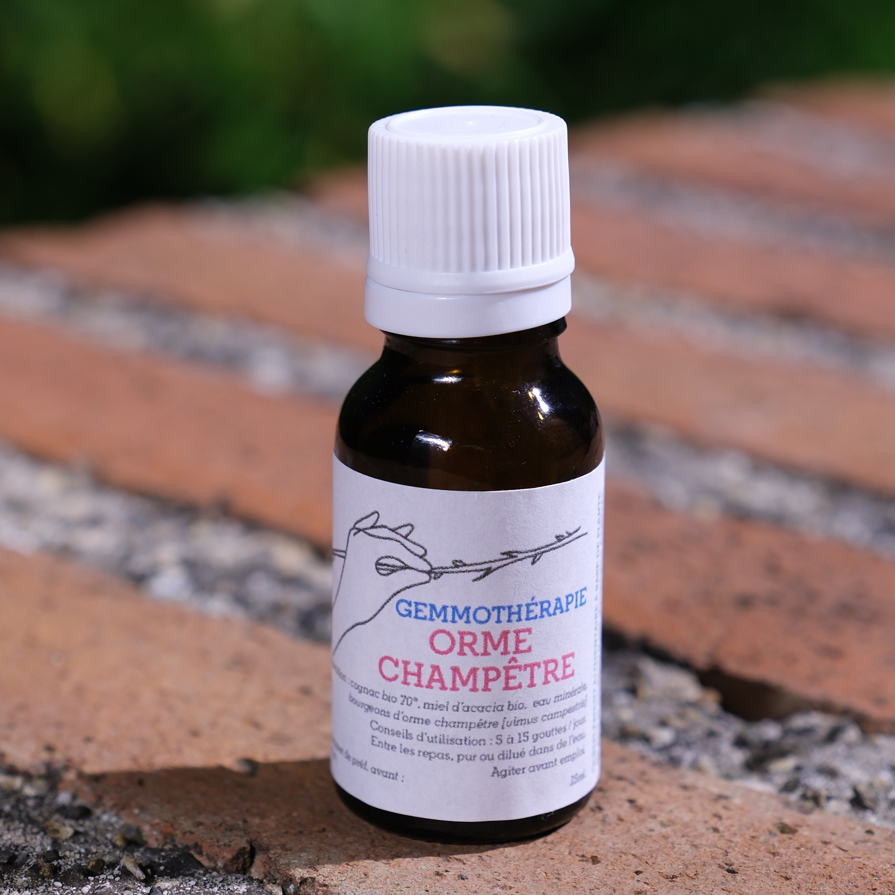 Orme champêtre • Dépuratif général & Peau - 15ml