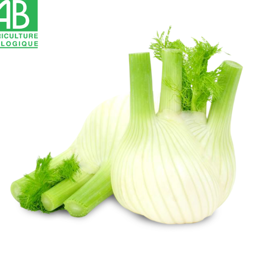 Fenouil - 0,3kg