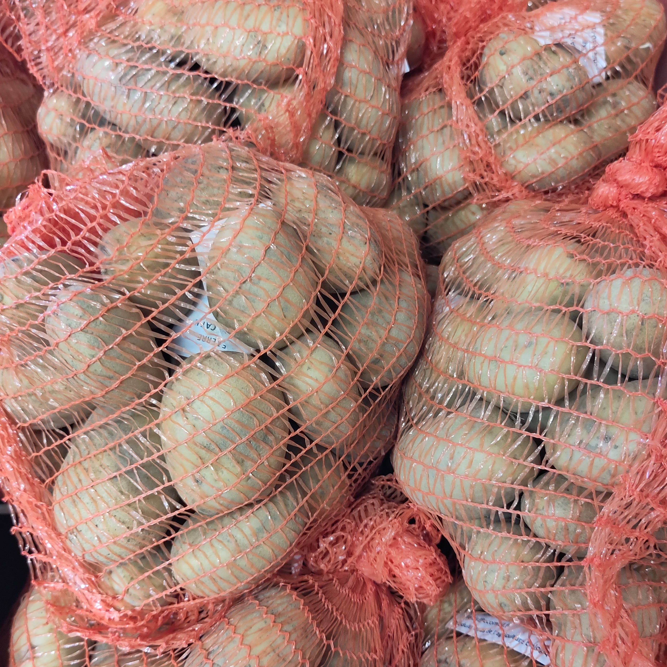 PDT Allians 5Kg BIO chair ferme