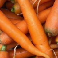 Carottes / Pièces