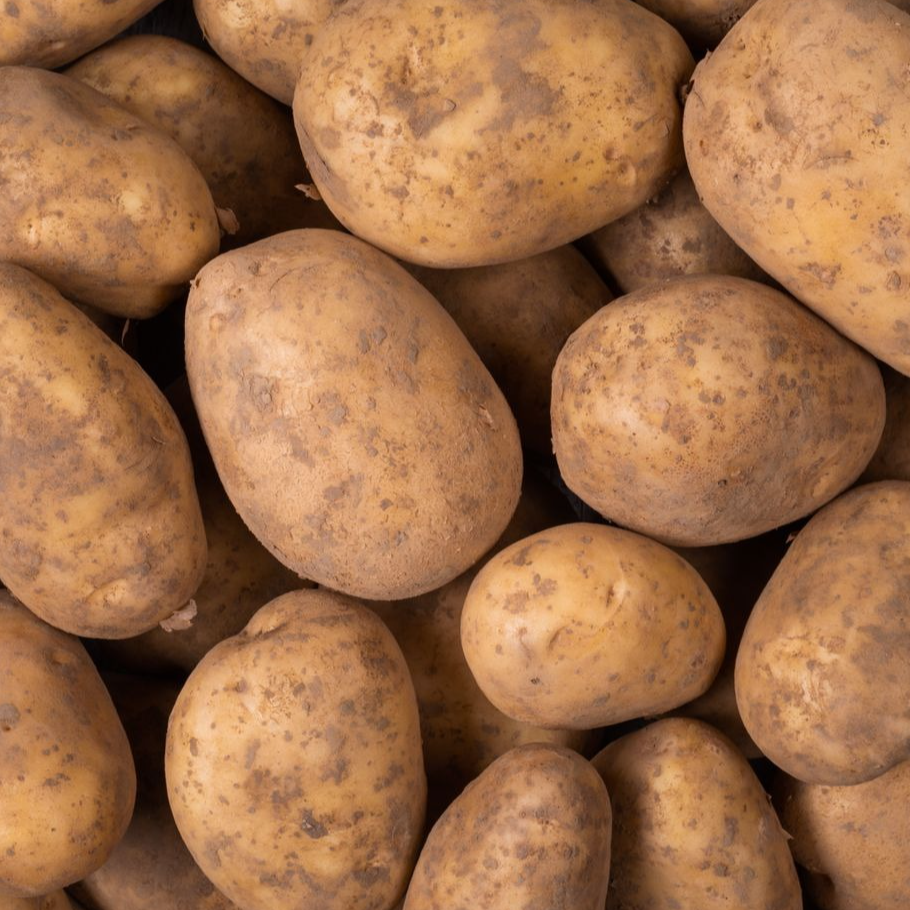 Pomme de terre chair tendre