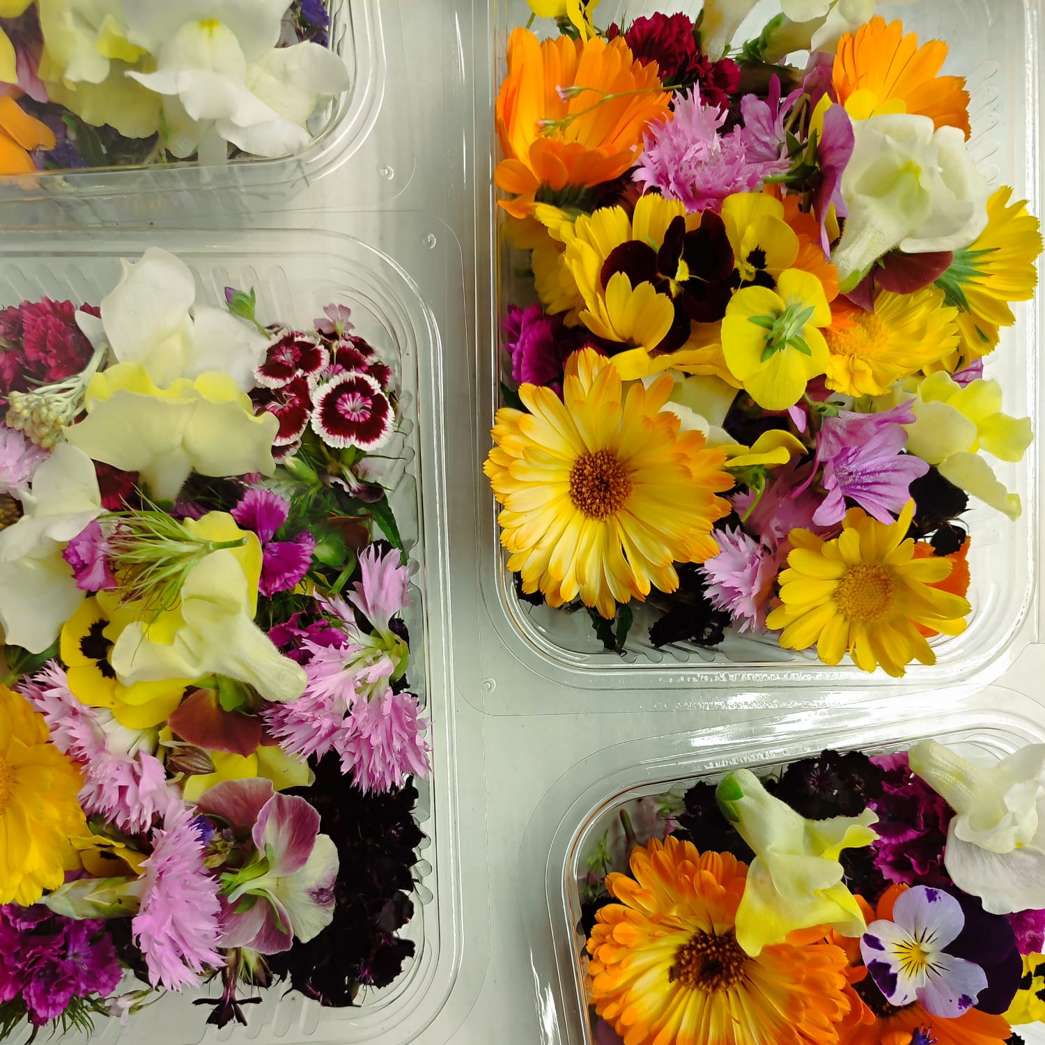 Mélange Fleurs