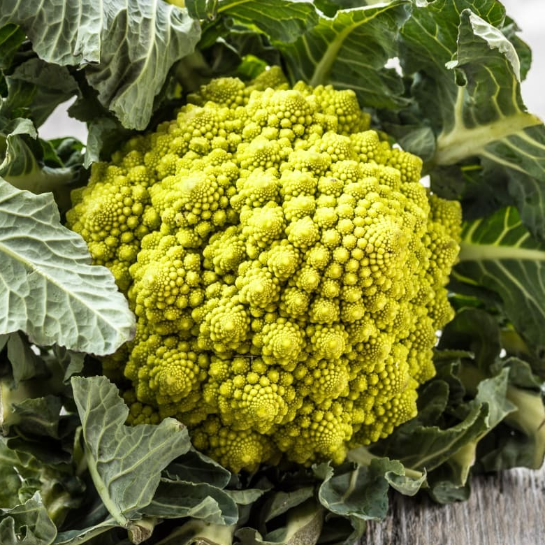 Chou Romanesco (pièce)