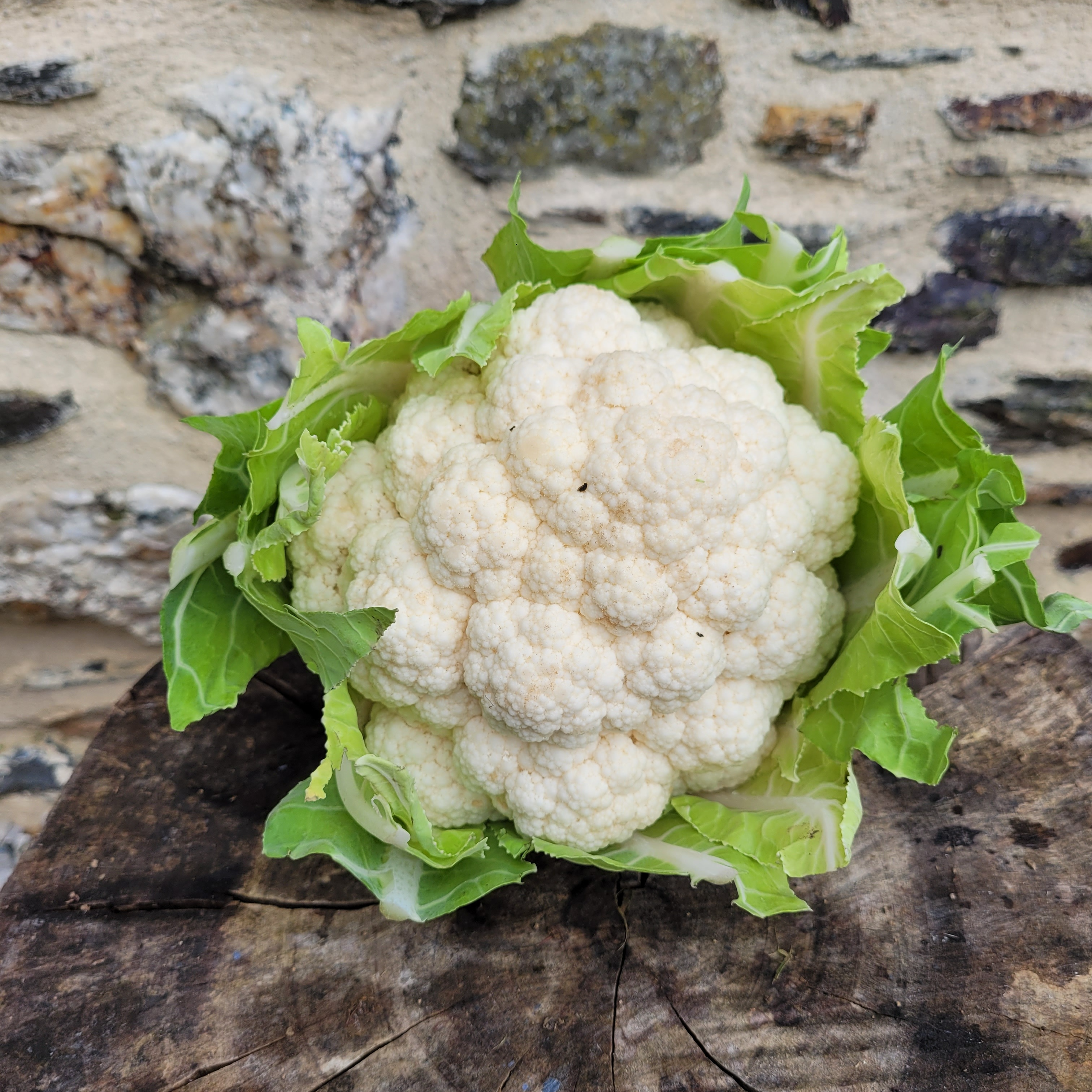 Chou fleur - 800g
