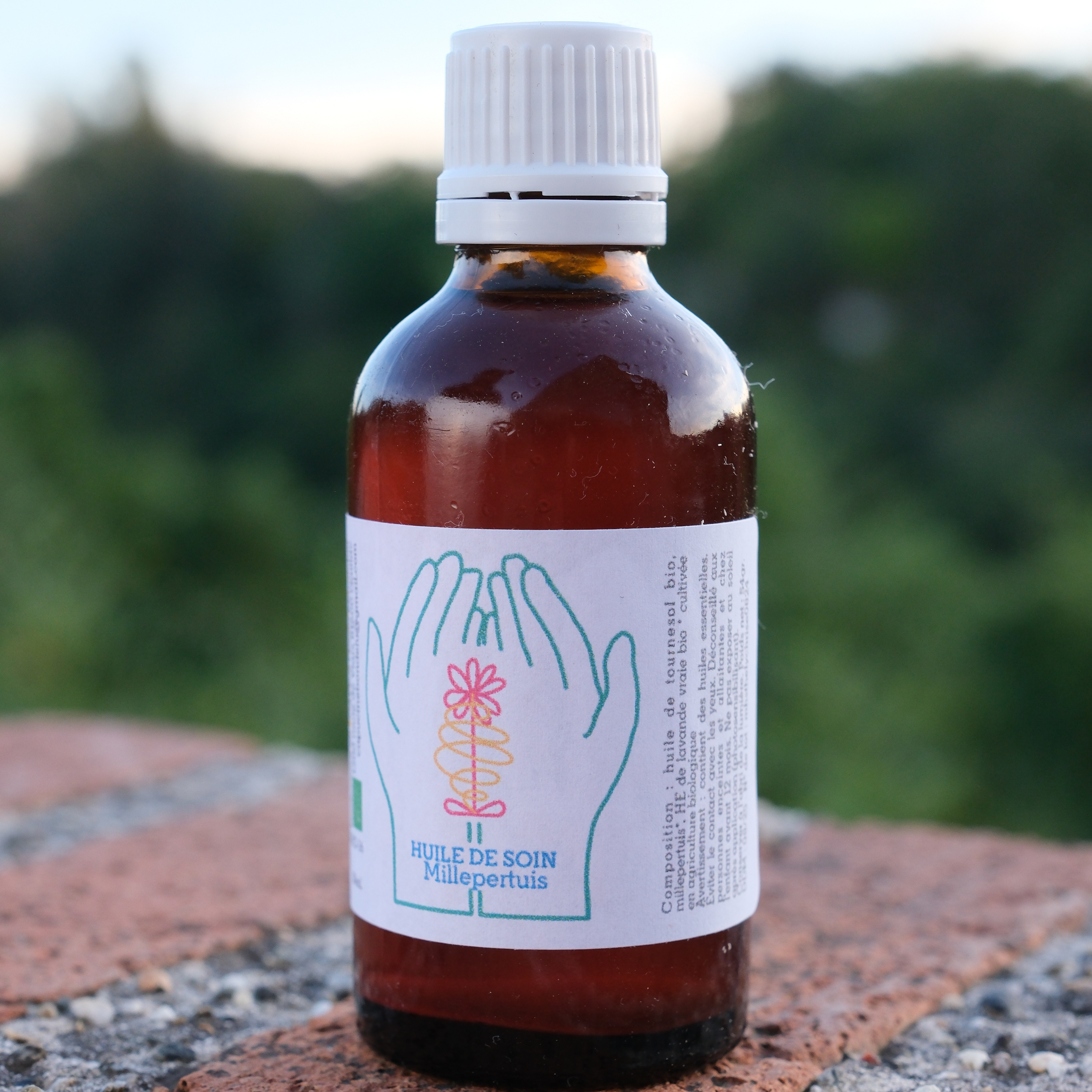 Huile de Millepertuis • Brûlures & Coups de soleil - 50ml