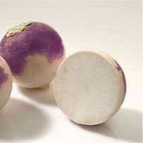 Navet à globe violet