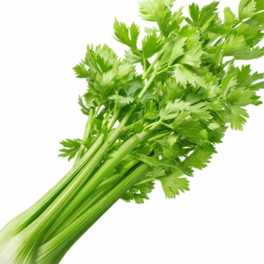 Branche de céleri - 80g