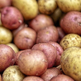 POMME DE TERRE nouvelle rose au kg