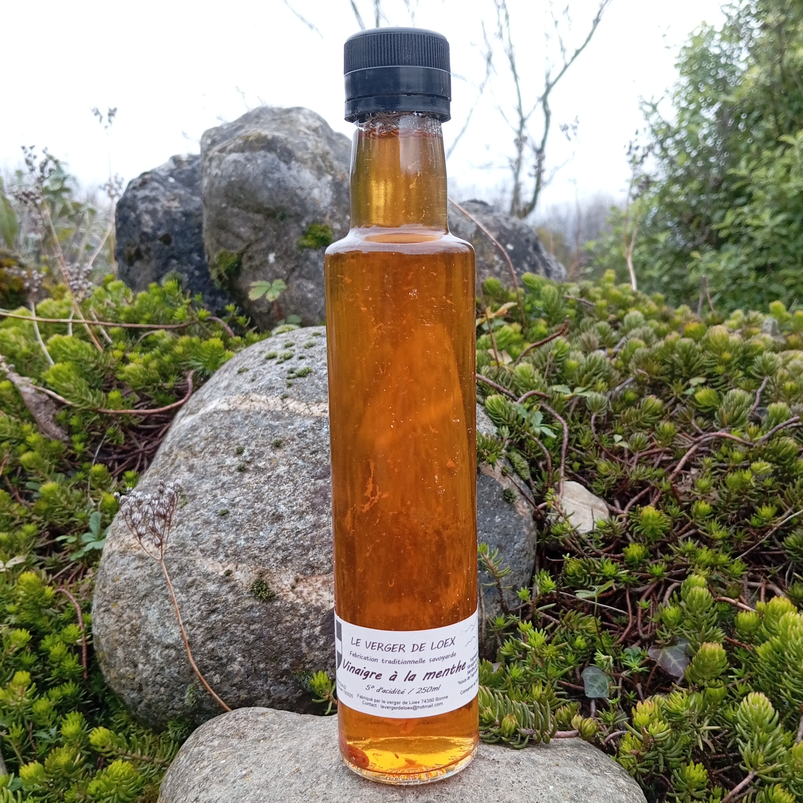 Vinaigre à la menthe BIO du verger - 250ml - 250ml