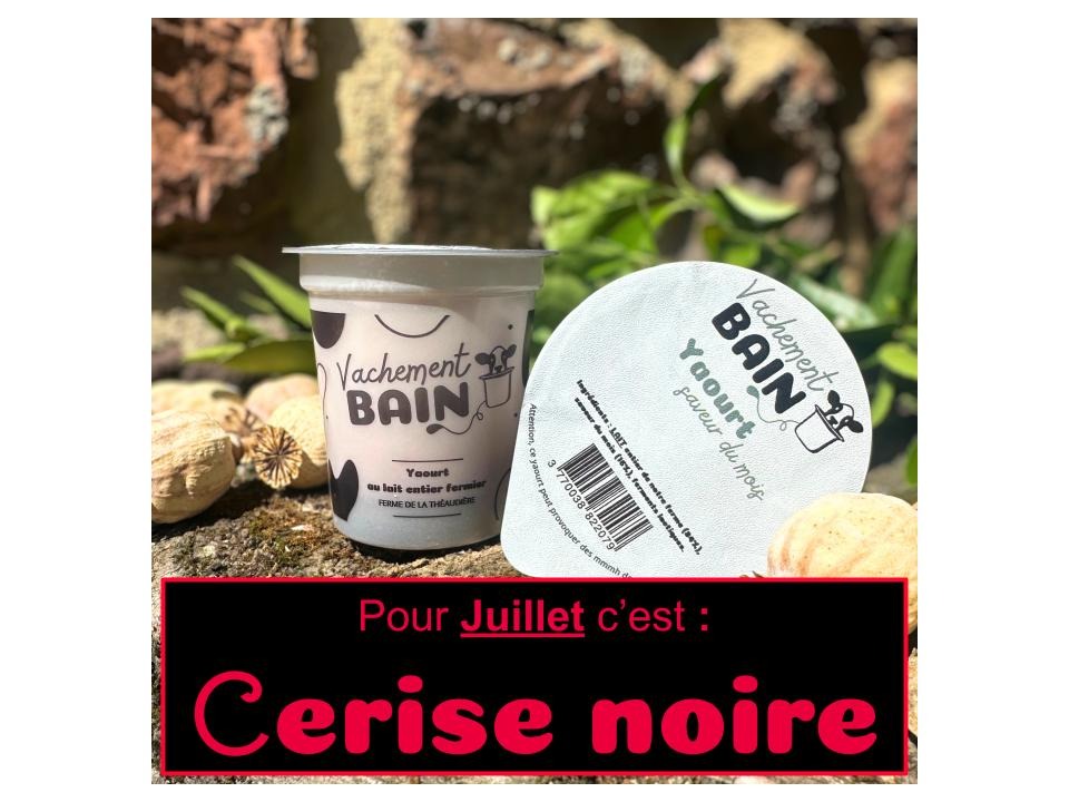 Yaourt à la saveur du mois - 125g