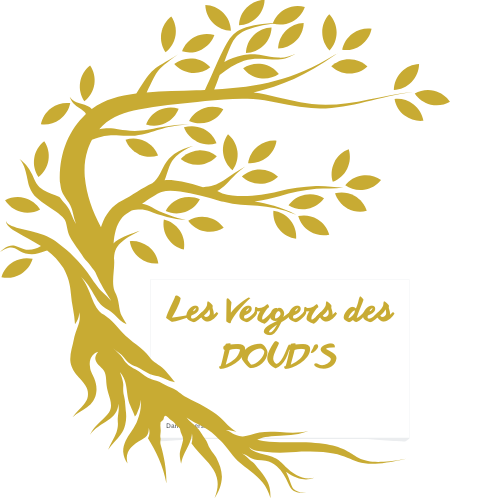Délice de noix