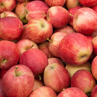 Pomme Gala (petites) - 800g