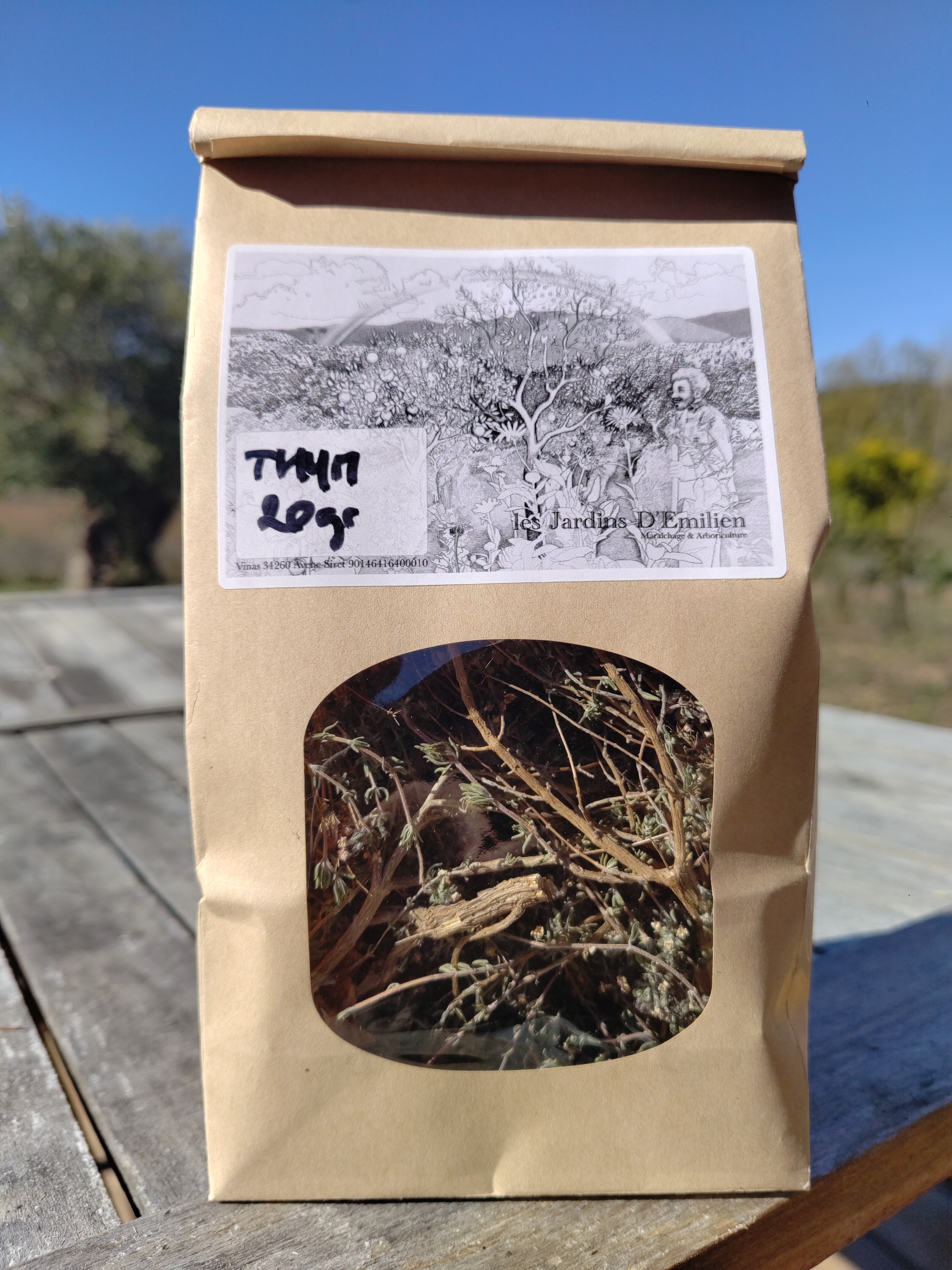 Tisane de thym