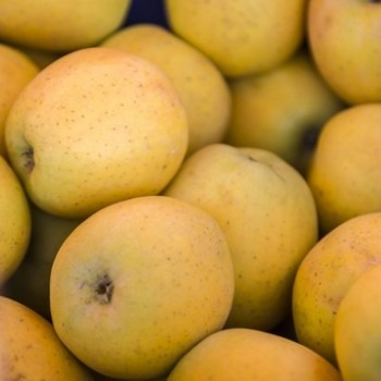 Pomme Goldrush - 800g