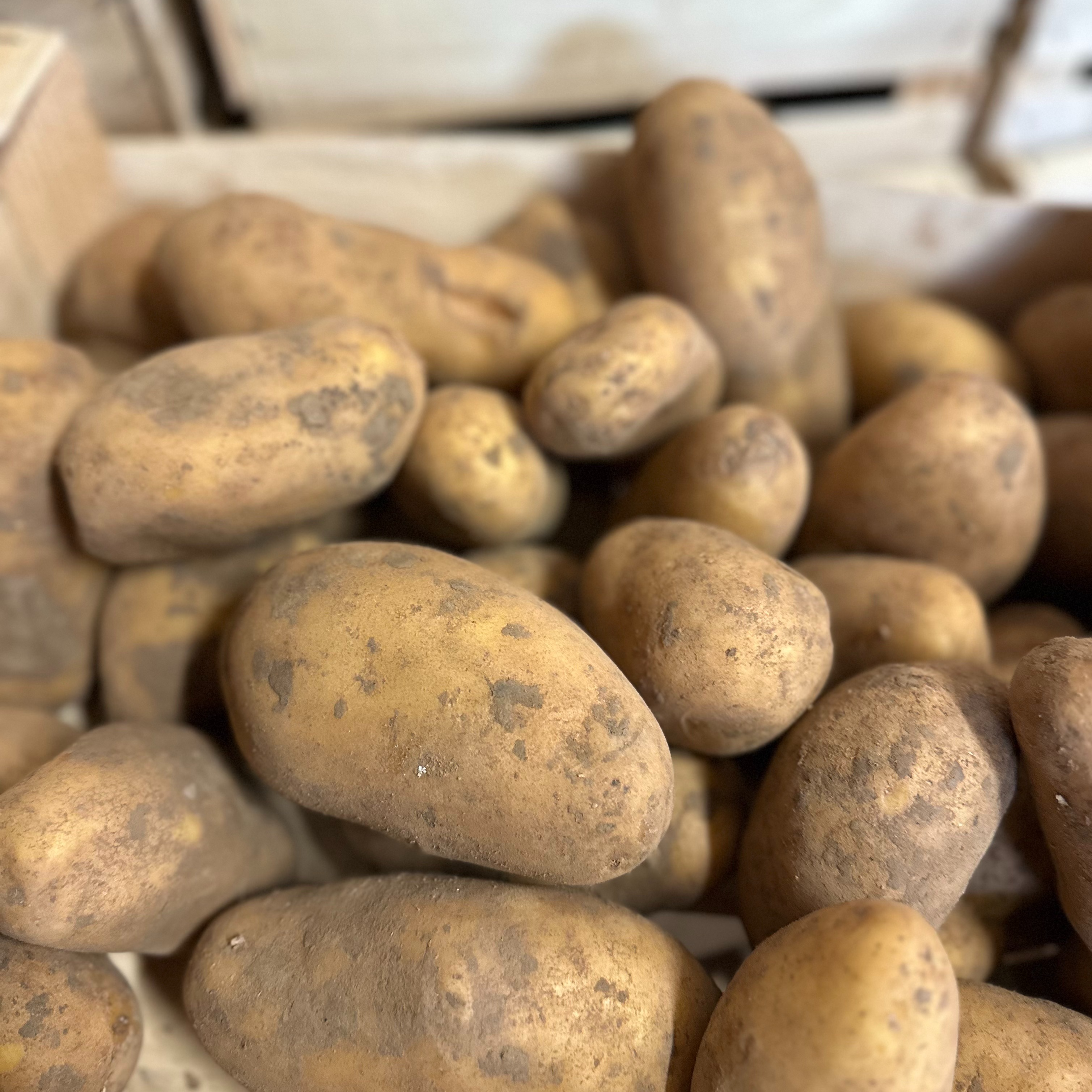 Pommes de terre chair ferme