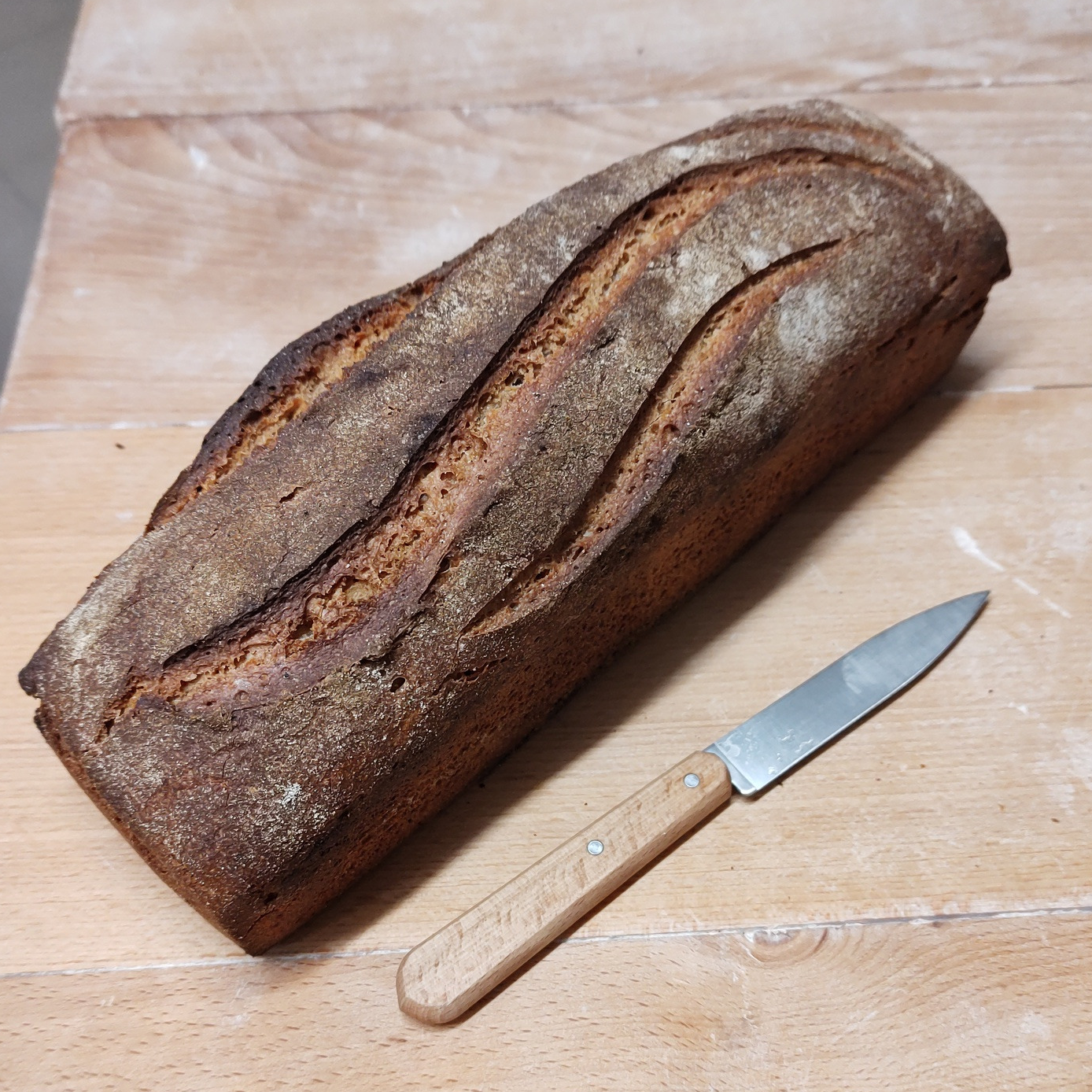 Méteil 1kg moulé - 1kg