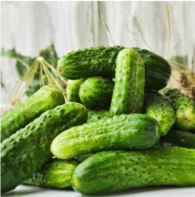 Cornichon vert fin de Meaux