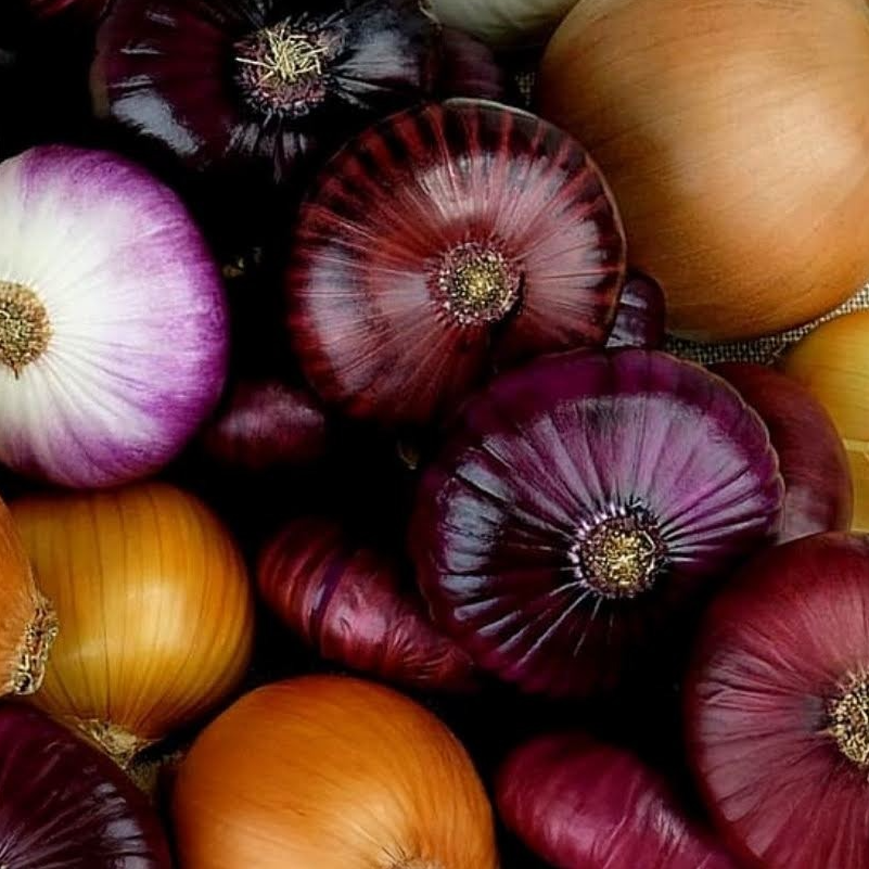 Oignons trois couleurs