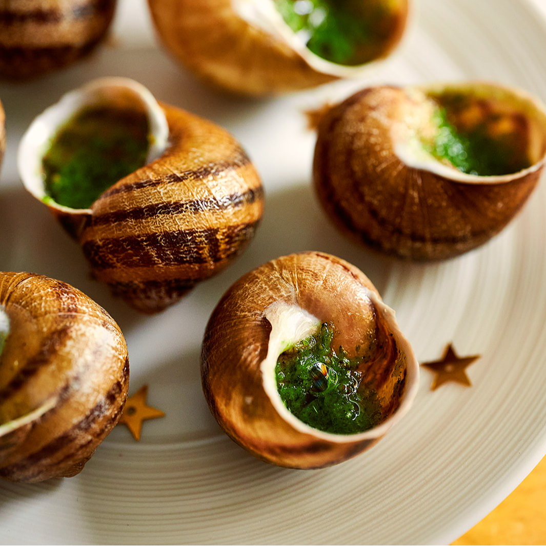 Escargot En Coquille 1 DZ