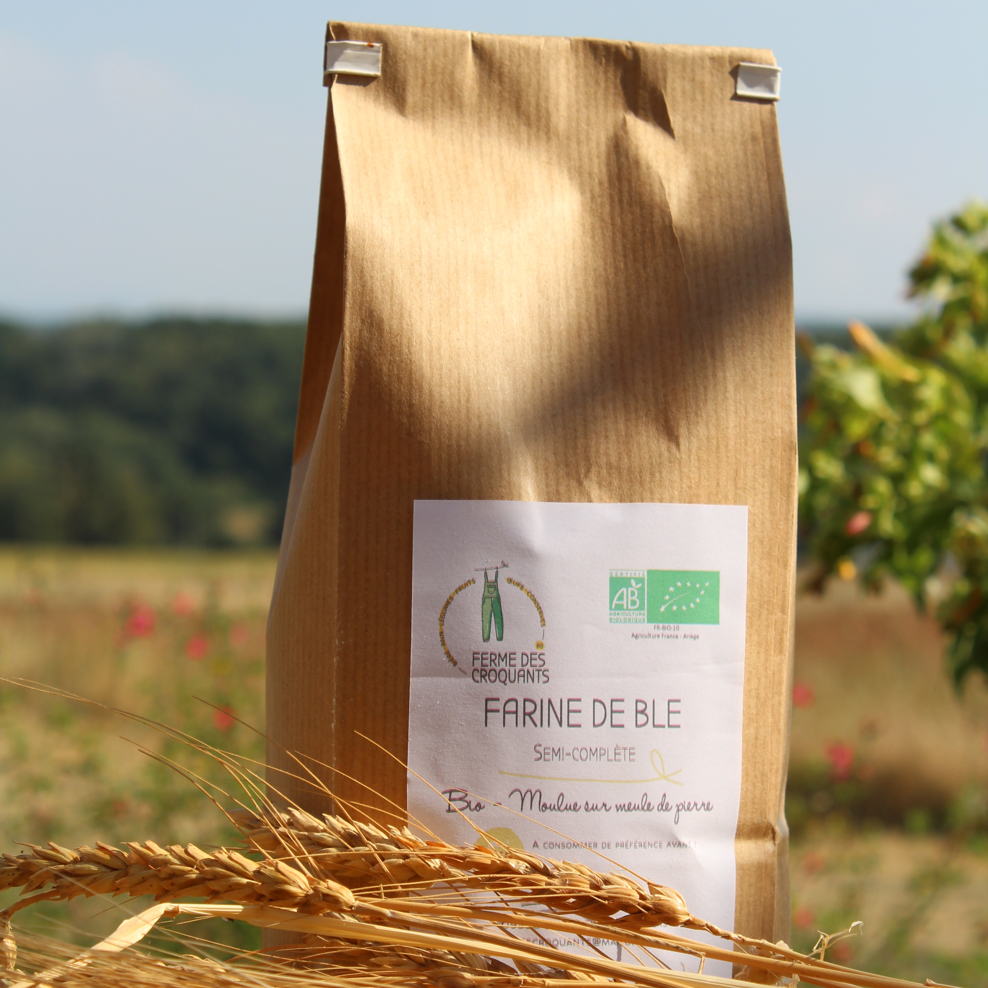 Farine de blé - semi complète/bise