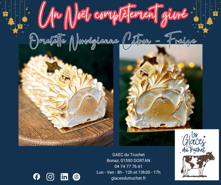 Omelette norvégienne 8 personnes Citron/Fraise