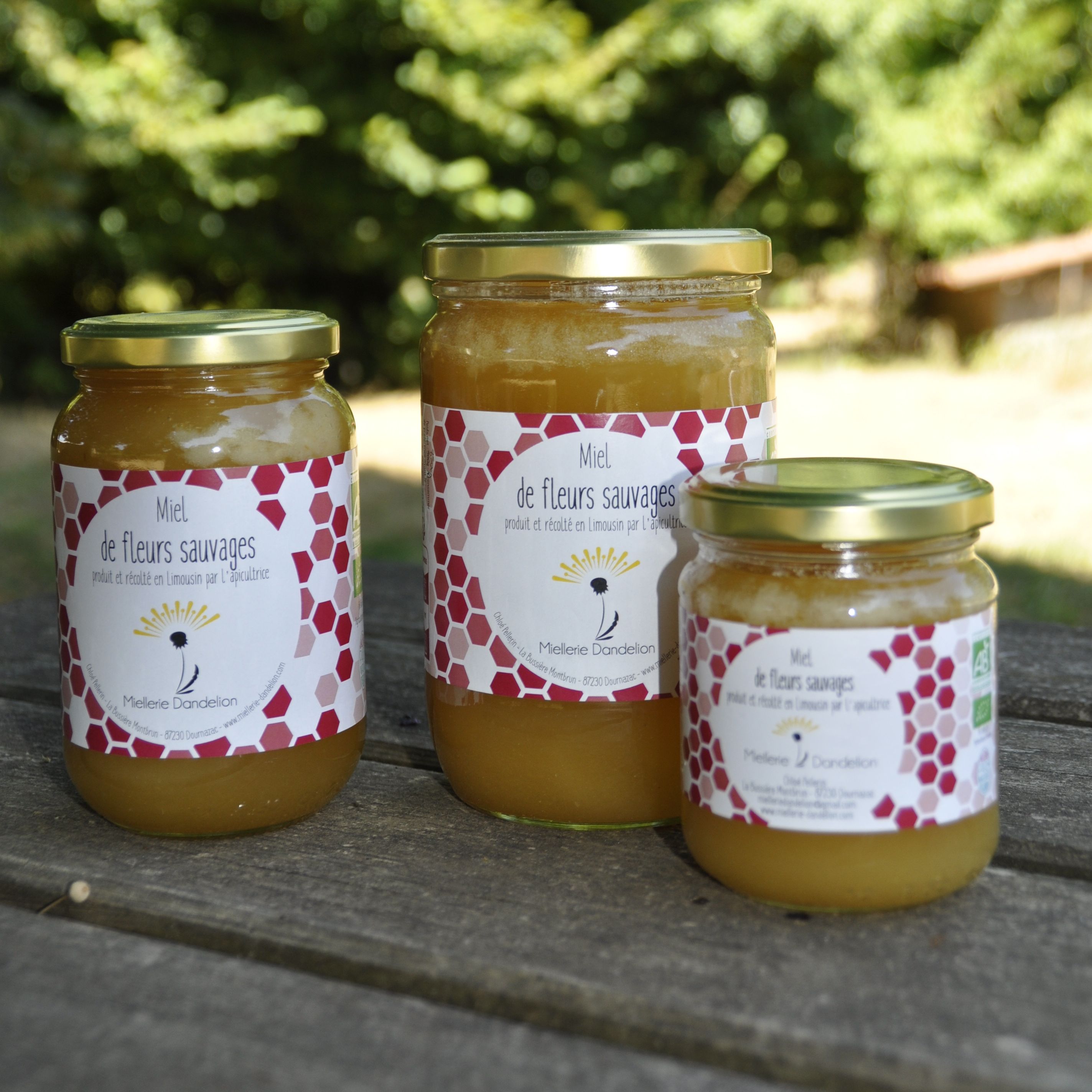 Miel de fleurs sauvages