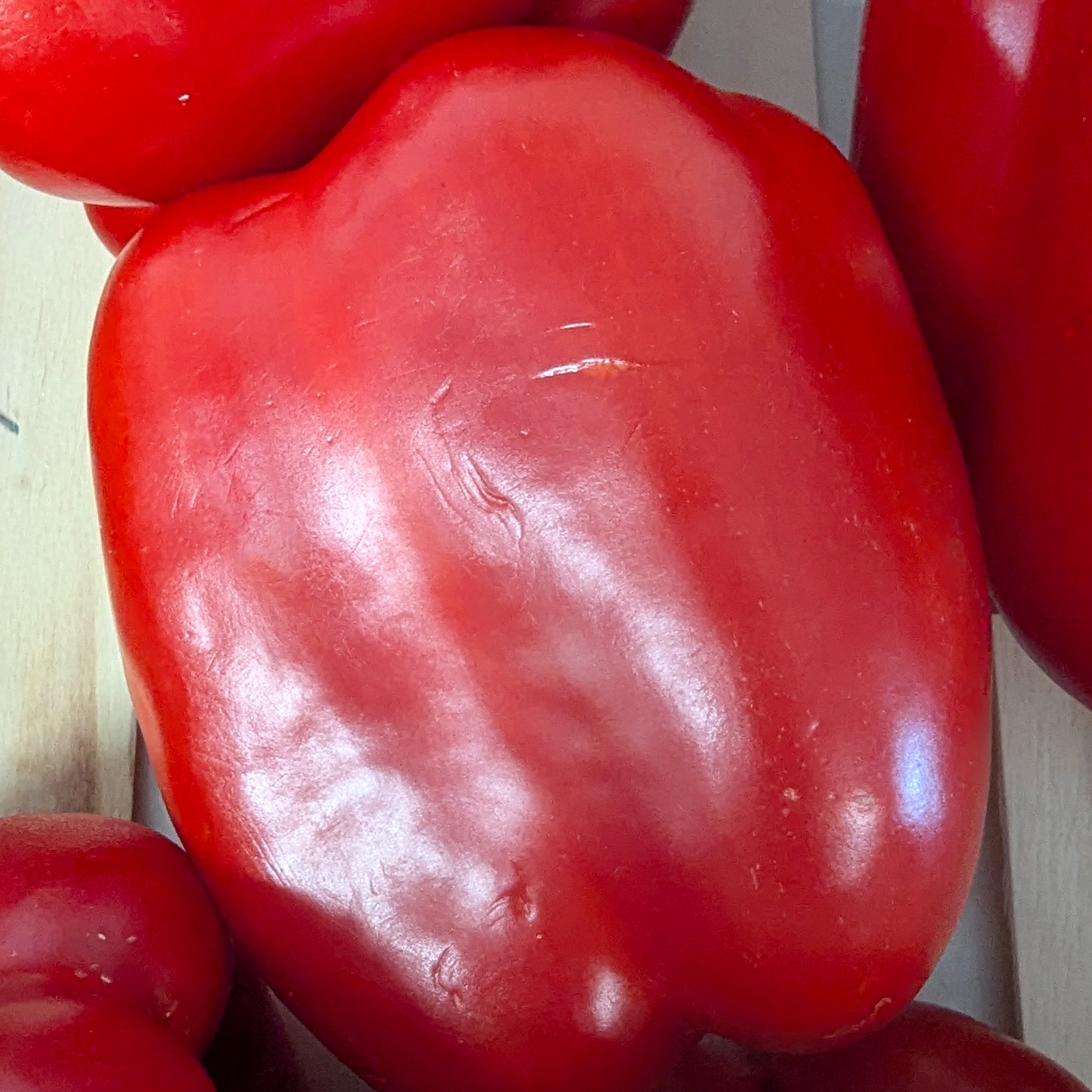 POIVRON ROUGE