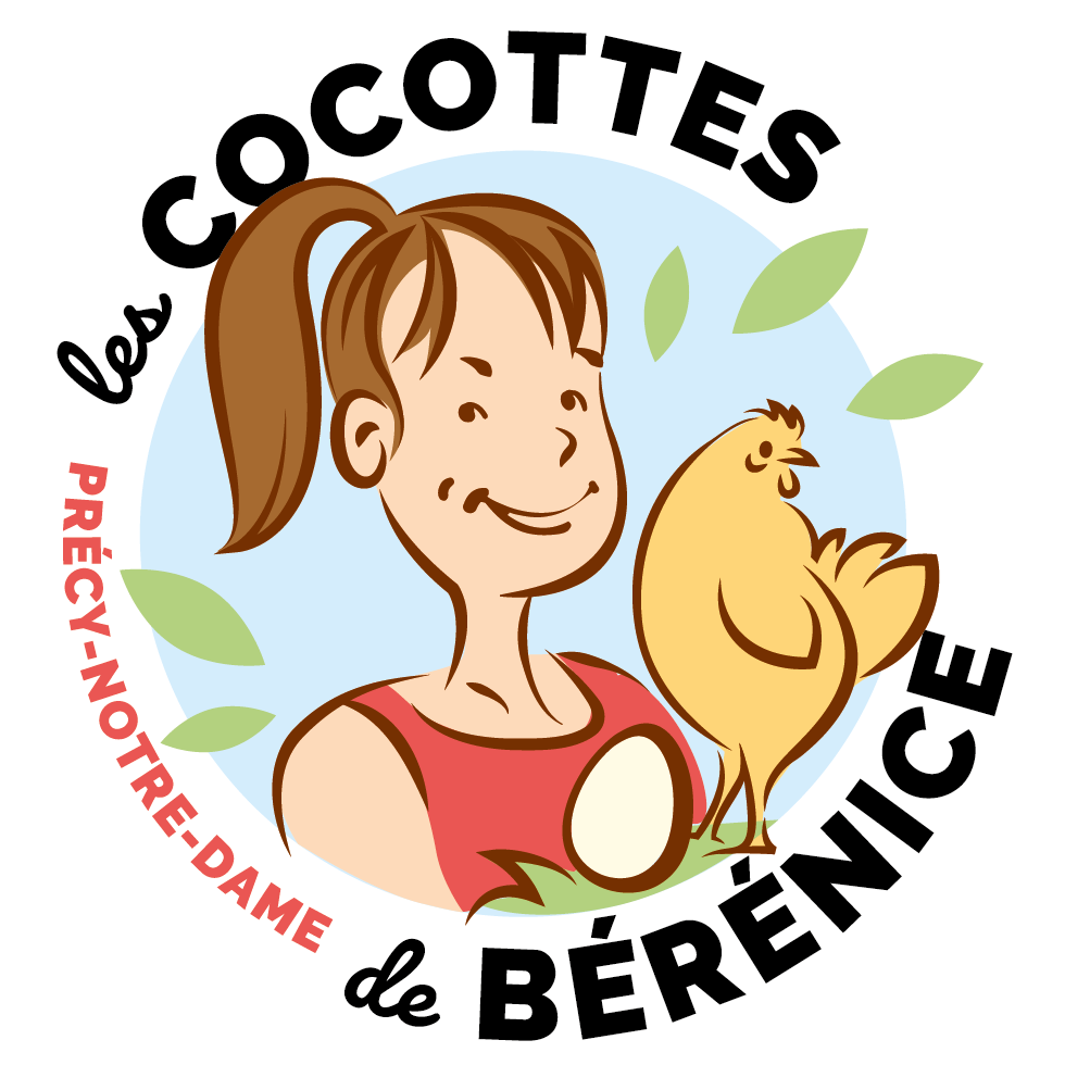 Oeufs - boîte de 6 (les cocottes de Bérénice)